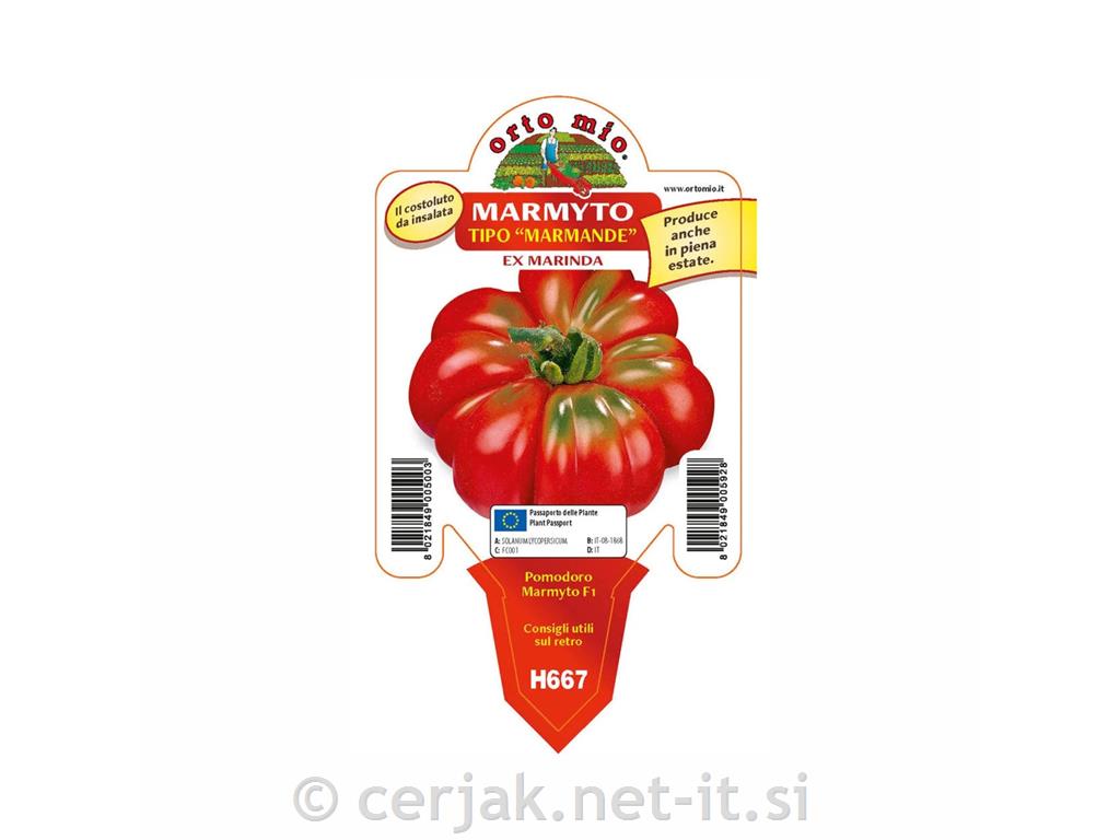 Paradižnik rebrasti Marmyto F1