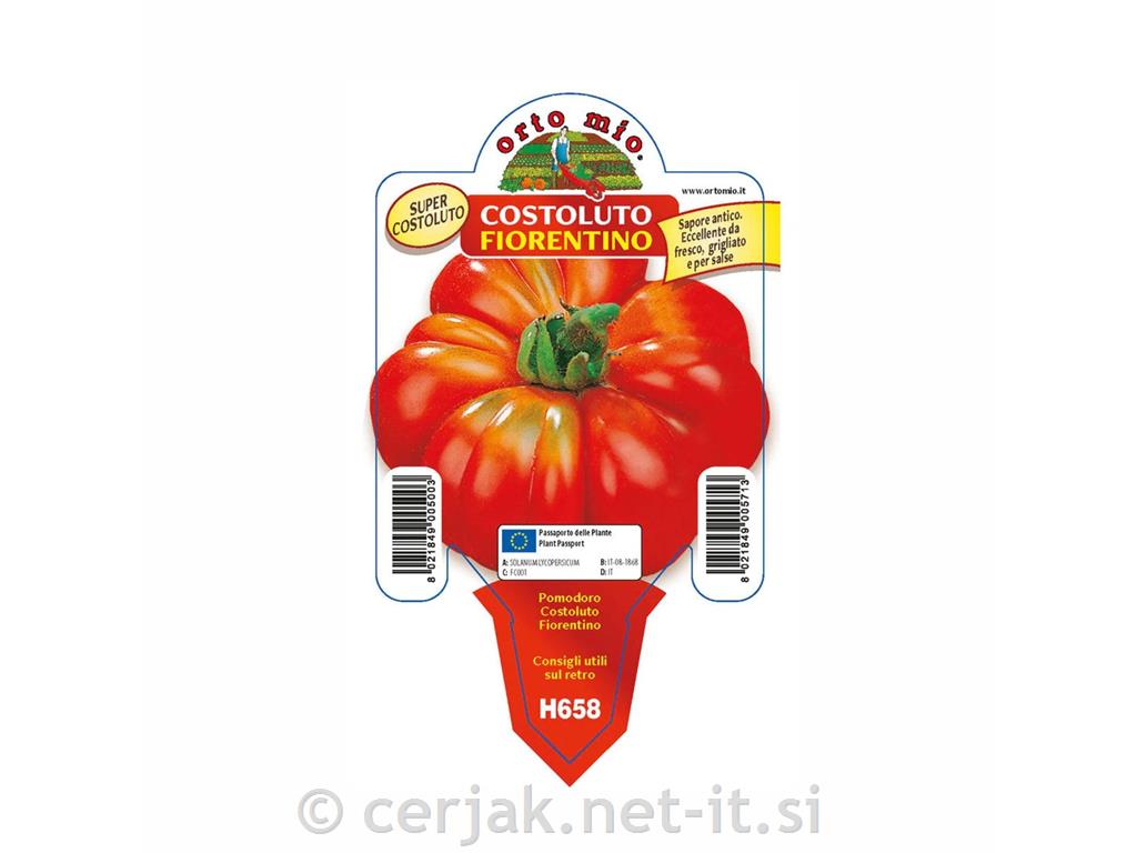 Paradižnik rebrasti Cosimo F1