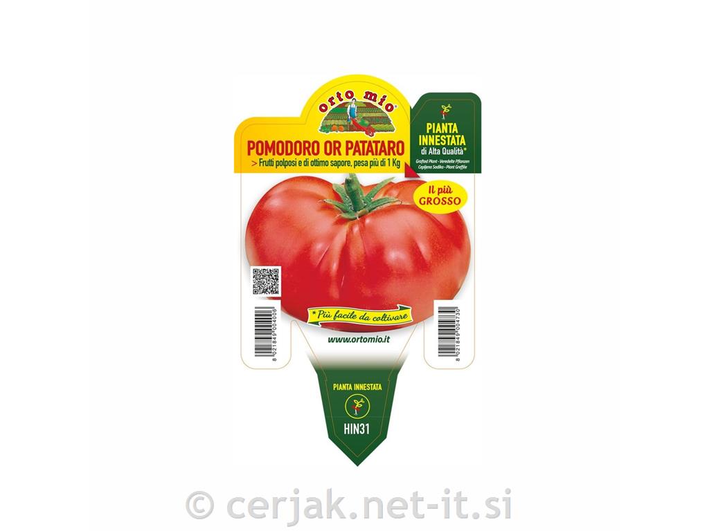 Paradižnik orjaški Big Patata F1