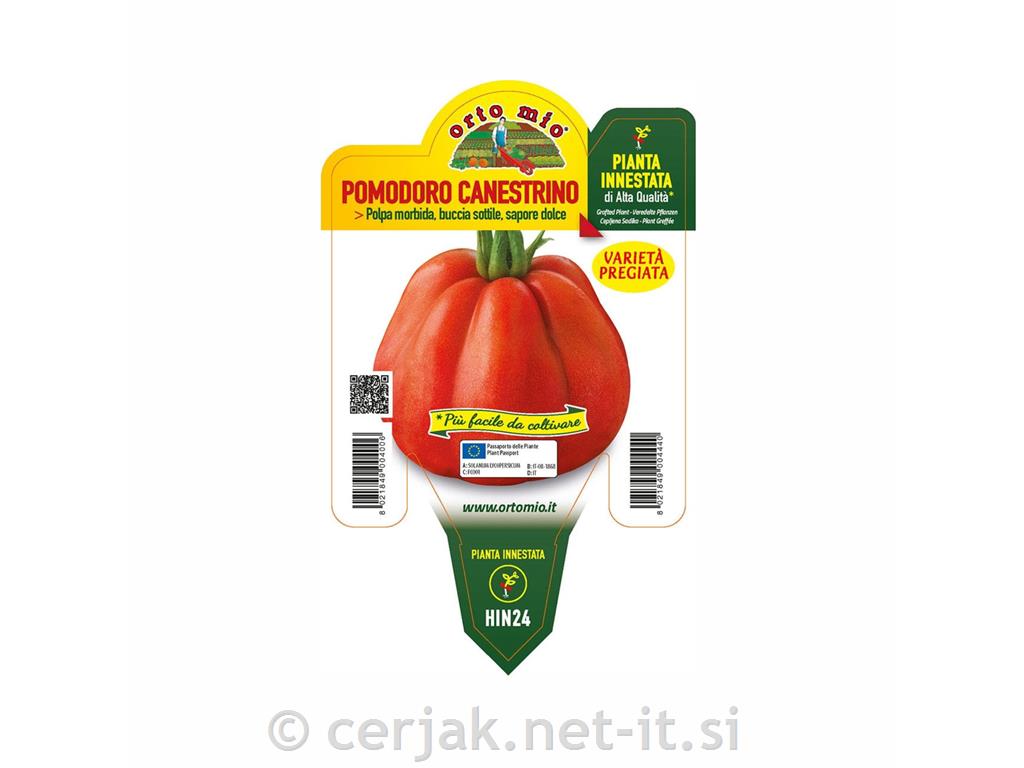 Paradižnik rebrast Canestrino F1