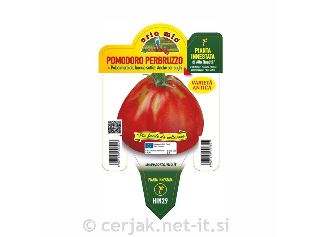 Paradižnik cepljen hruškasti Silvano F1