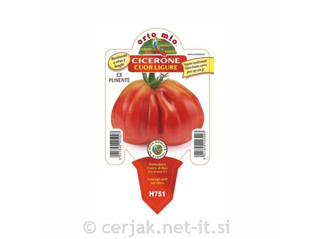 Paradižnik ligursko volovsko srce Diablo F1