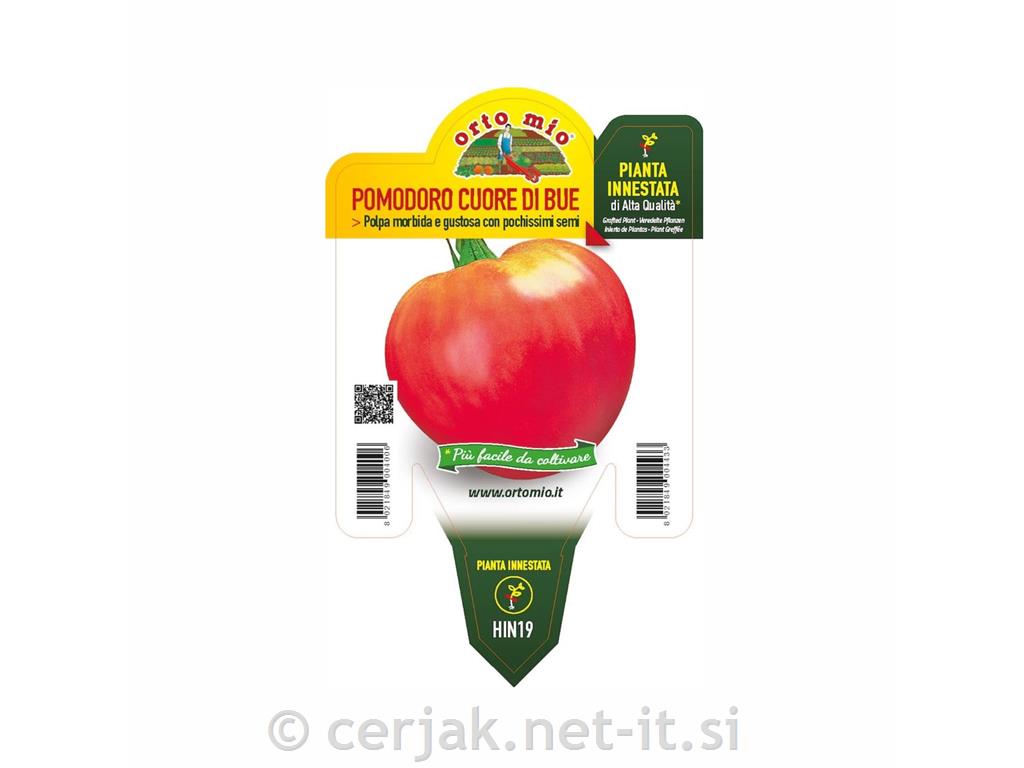 Paradižnik cepljen volovsko Gourmandia F1