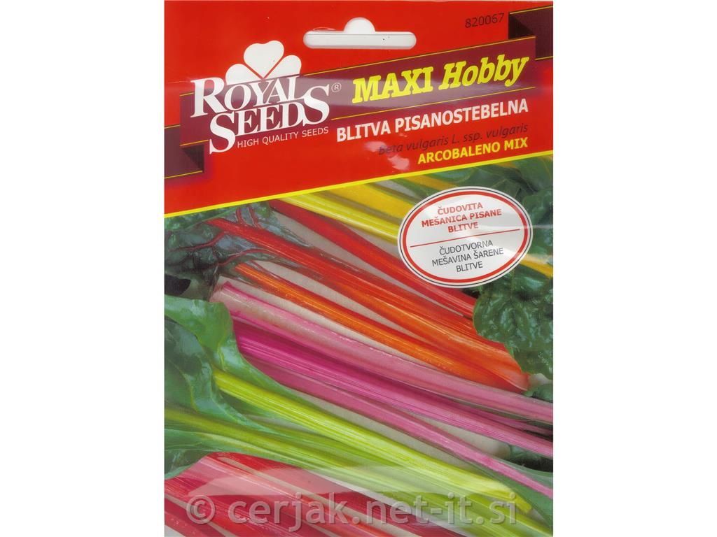 Blitva pisanostebelna Arcobaleno 5g