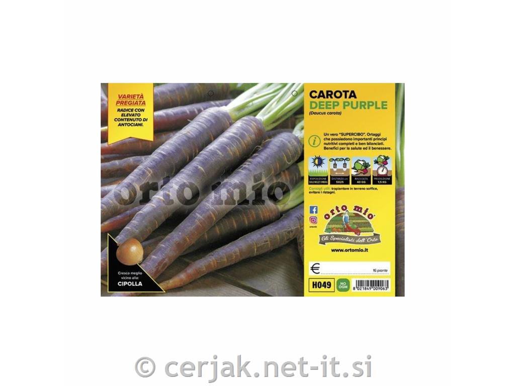Korenje Deep Purple F1, 12 kos