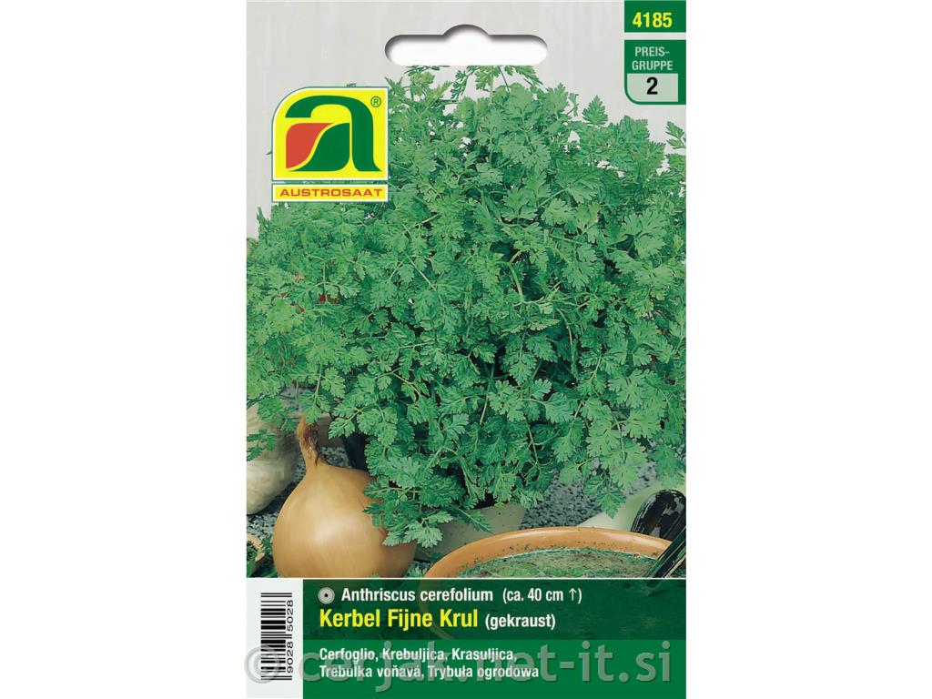 Krebuljica Fijne Krul 5g