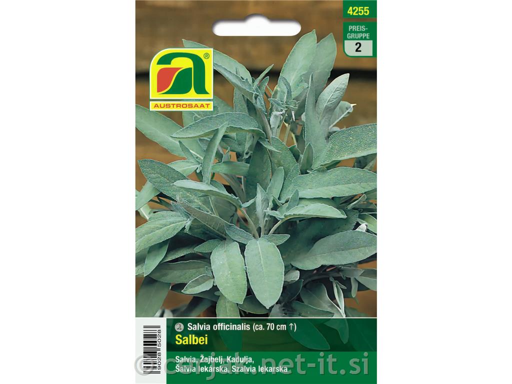 Žajbelj 5g