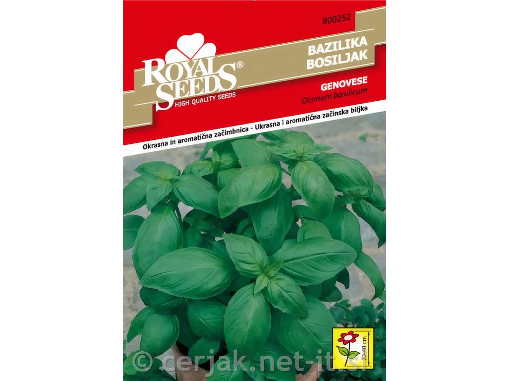 Bazilika Genovese 1g