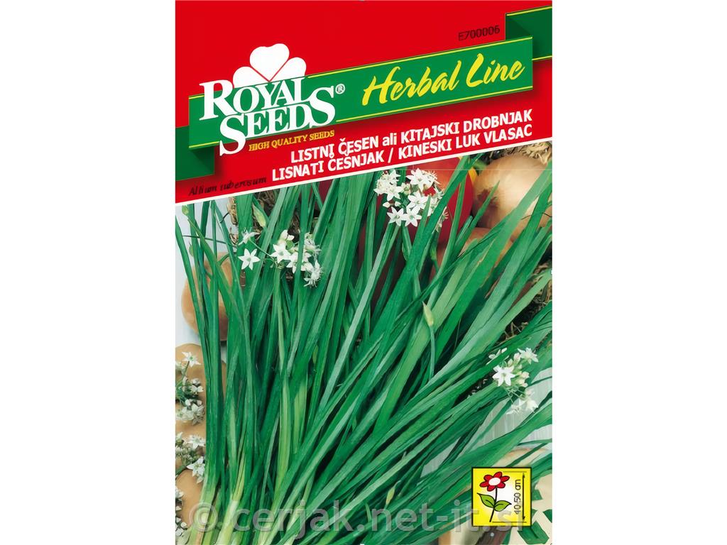 Listni česen (Allium tuberosum) 1g