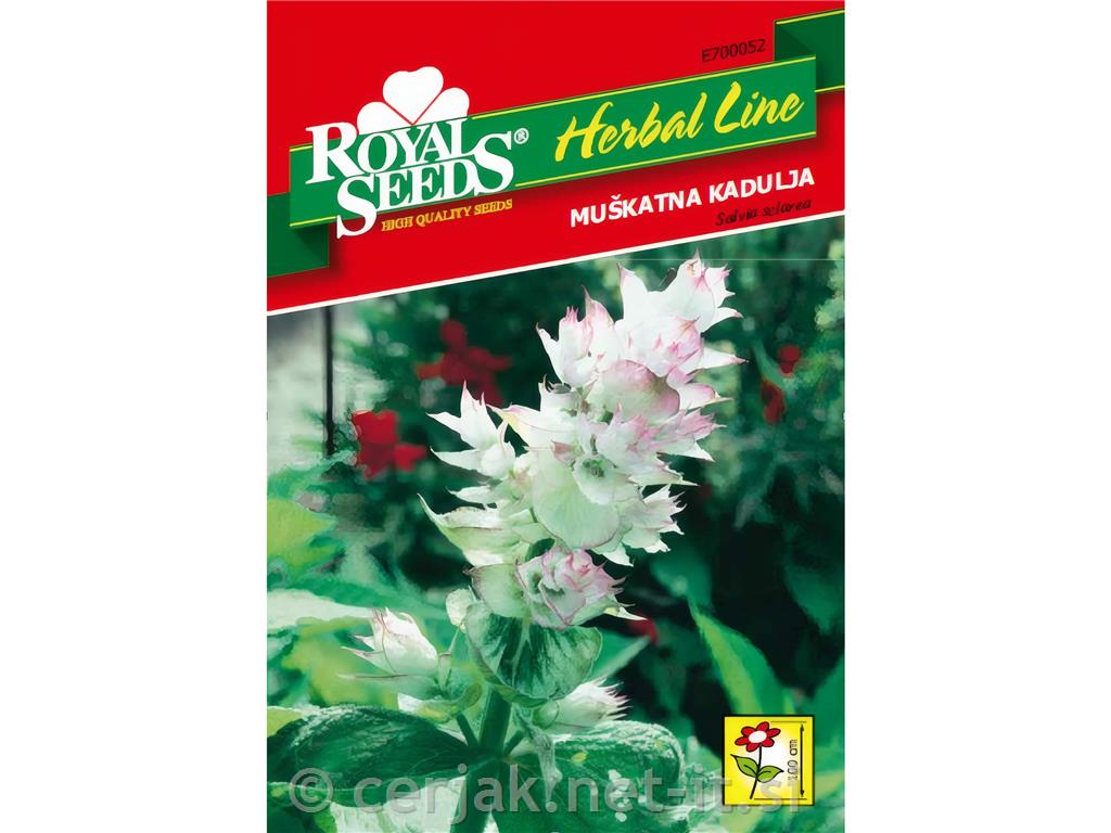 Muškatna kadulja (Salvia sclarea) 1g