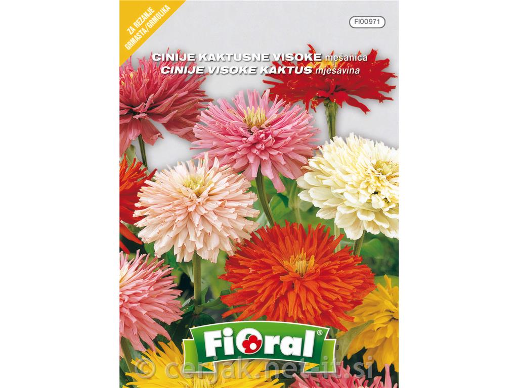 Cinije kaktusne (Zinnia elegans), 1 g