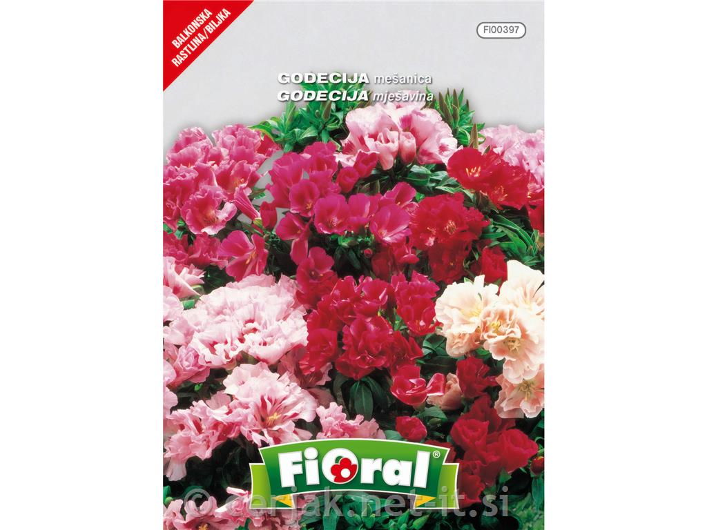 Godecija (Godetia grandiflora), 1 g