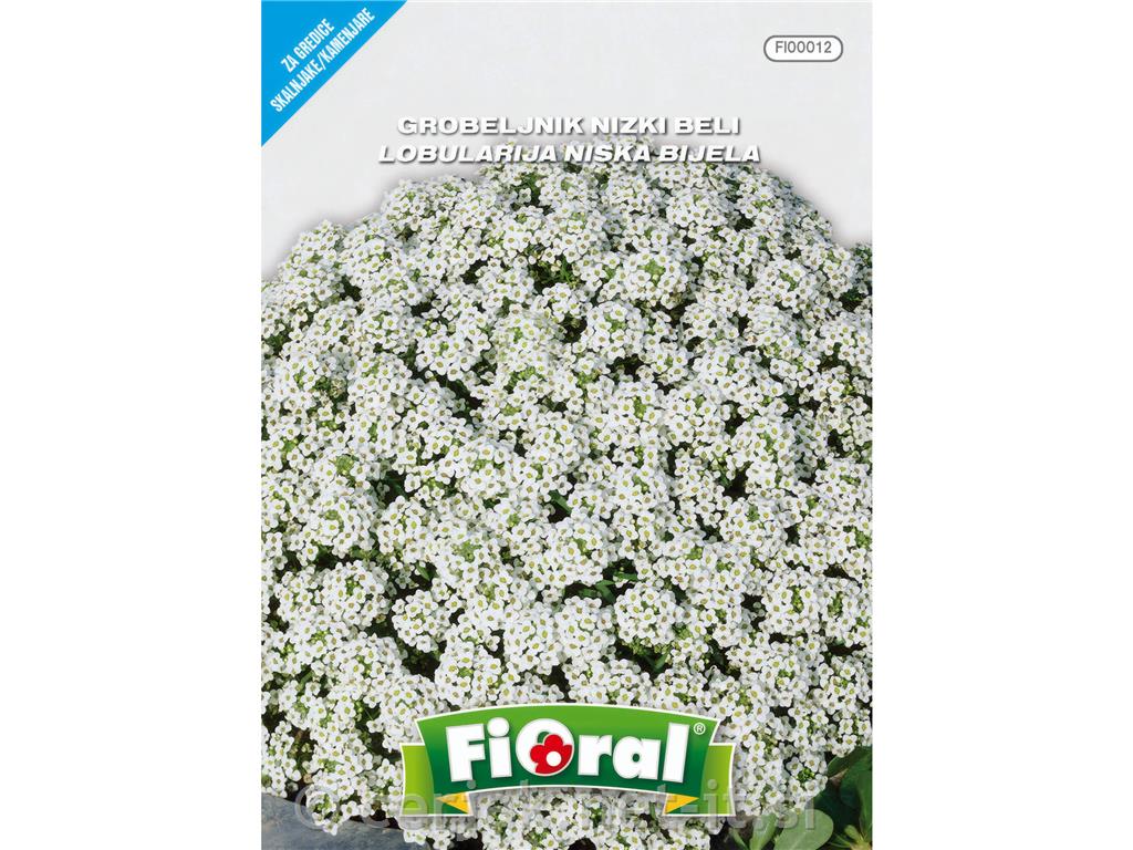 Grobeljnik (Alyssum maritima), 0,6 g