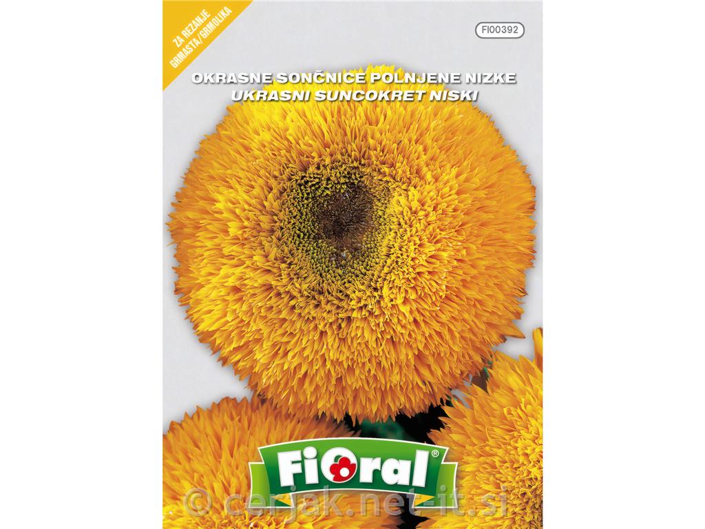 Sončnice polnjene (Helianthus annuus), 1 g