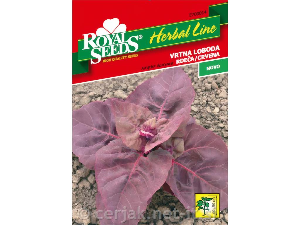 Rdeča vrtna loboda (Atriplex hortensis) 0,8g