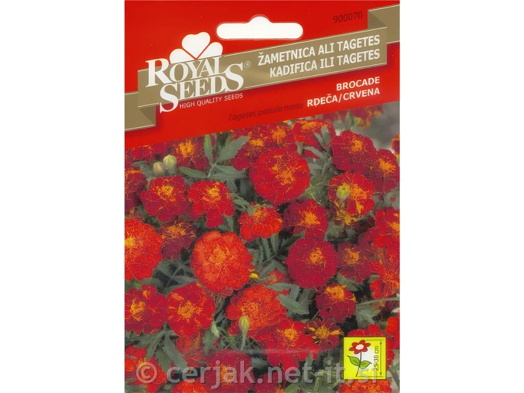 Žametnica Ali Tagetes Brocade 0,30g