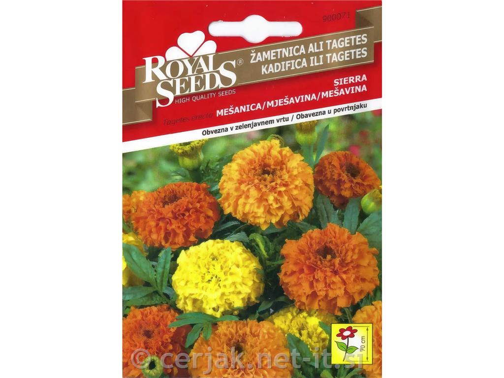 Žametnica, Tagetes 0,3g