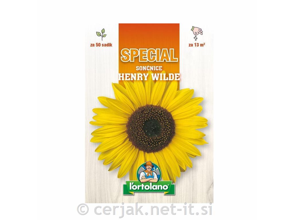 Sončnice Henry Wilde – 50 semen (visoka okrasna sorta)