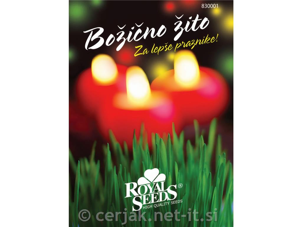 Božično žito 80g