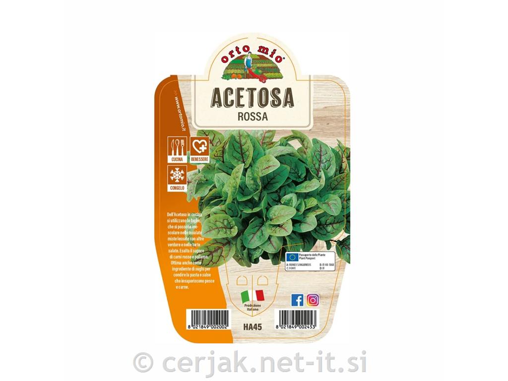 Rdeča kislica