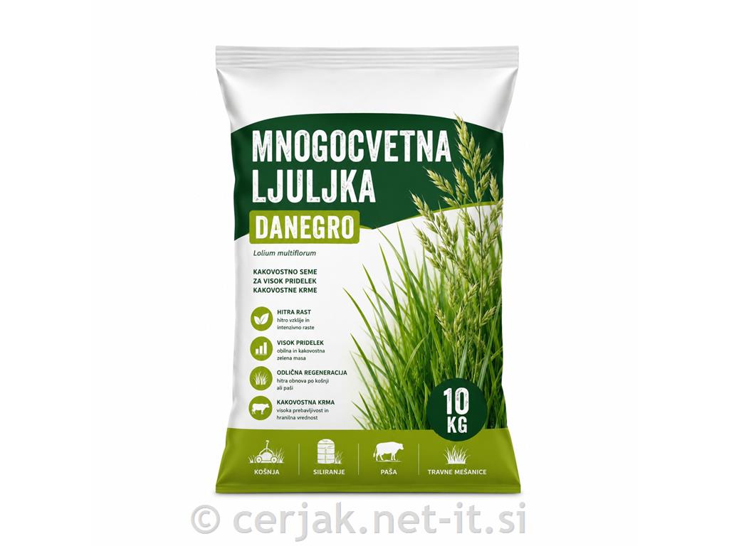 Mnogocvetna ljulka Danegro, 10kg