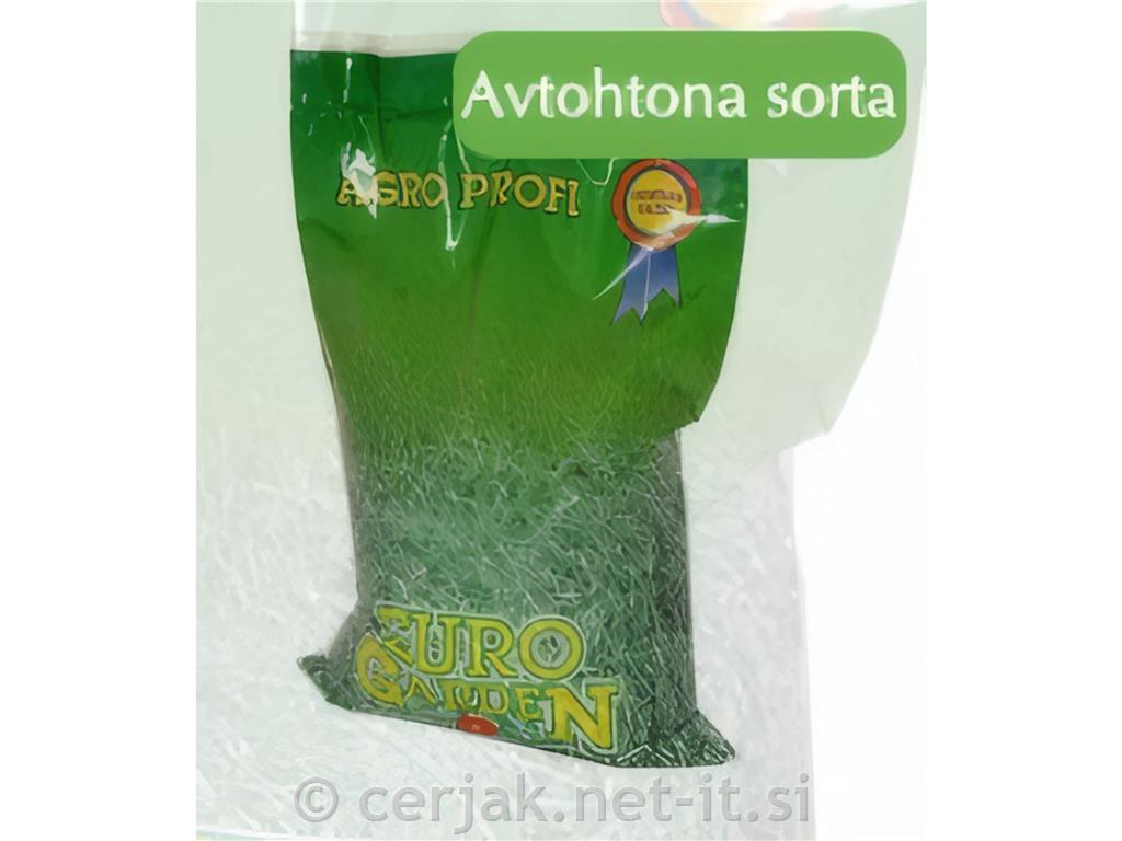 Inkarnatka Bolsena 1 kg