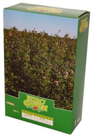 Lucerna Riviera Vicenta 1kg
