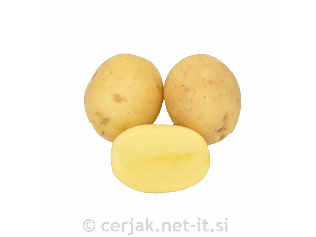 Krompir Actrice A 35/55 25 kg