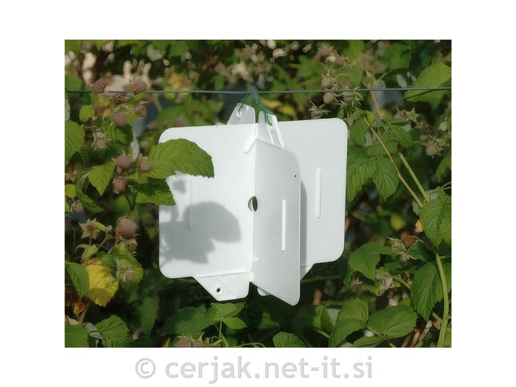 Rebell bianco, bela vaba za škodljivce, 8 plošč