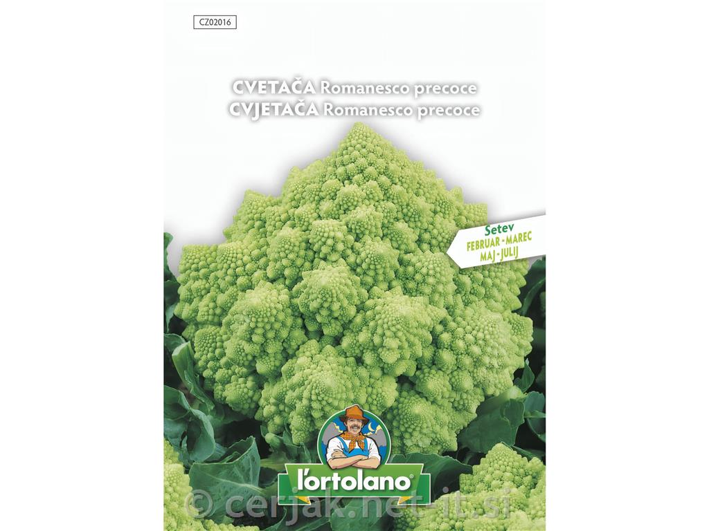 Cvetača Romanesco – 4 g (stožčasta zelena sorta)