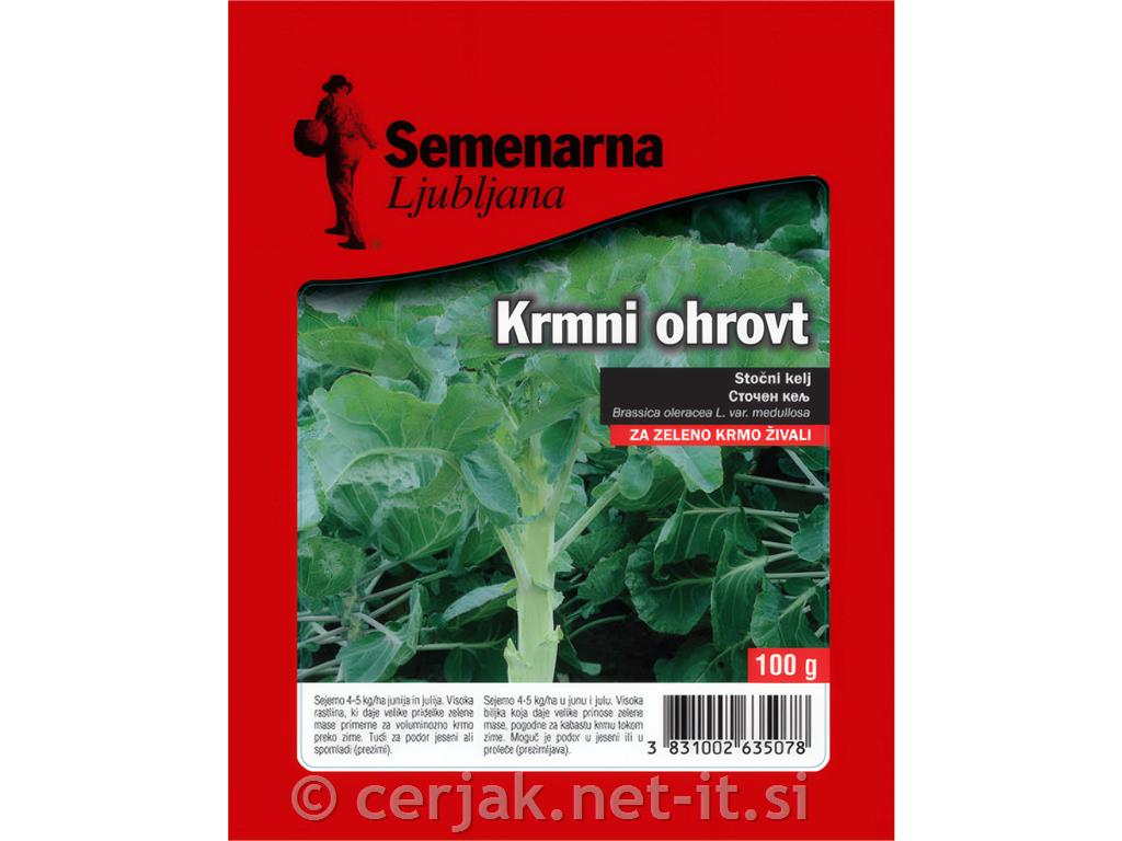 Raštika ali krmni ohrovt