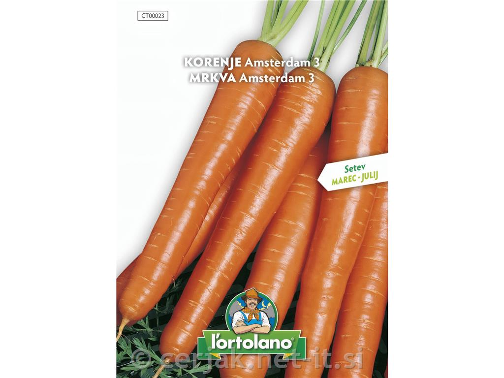 Korenje Amsterdam, 8 g