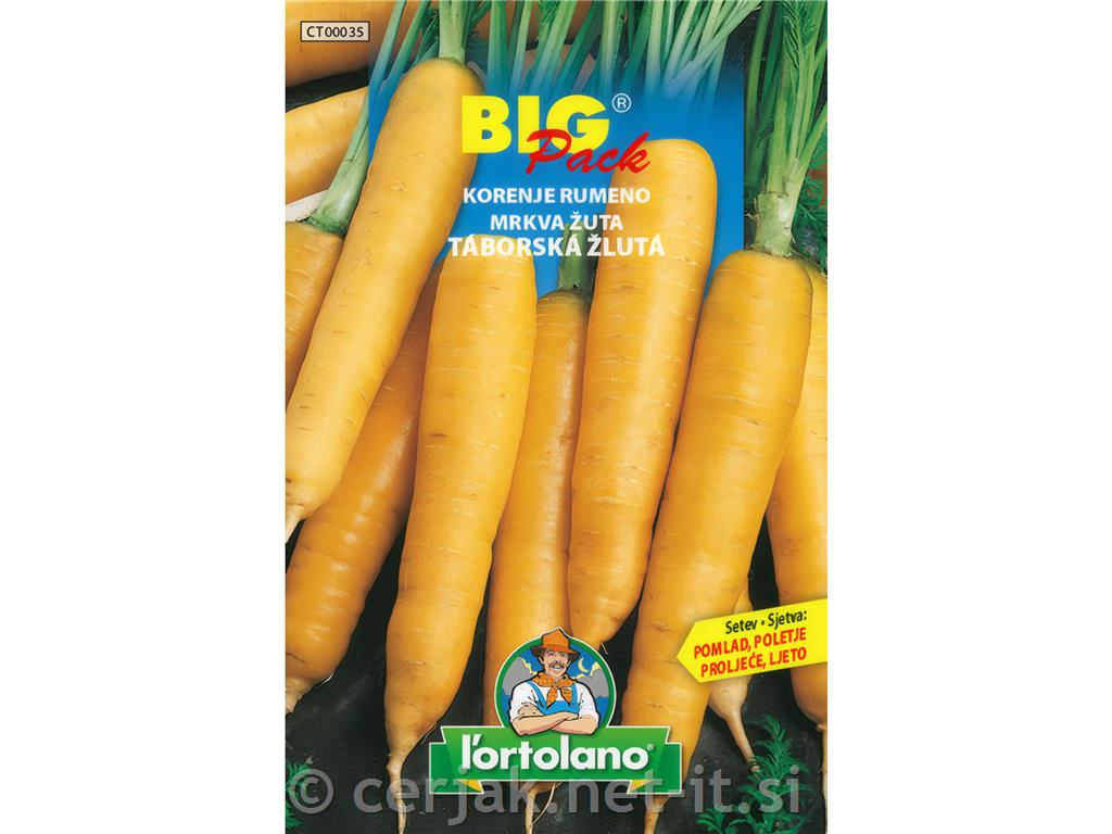 Korenje rumeno Taborska žuta 20g