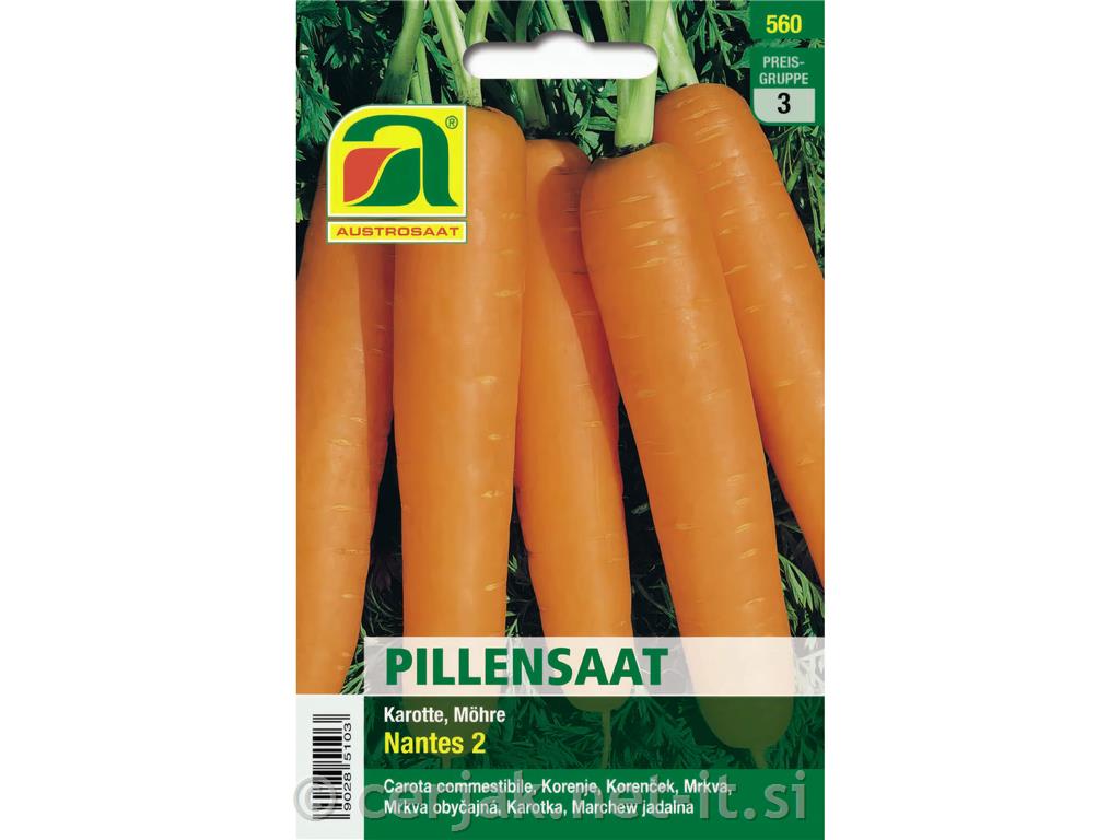 Korenček Nantes 2, pilirano seme
