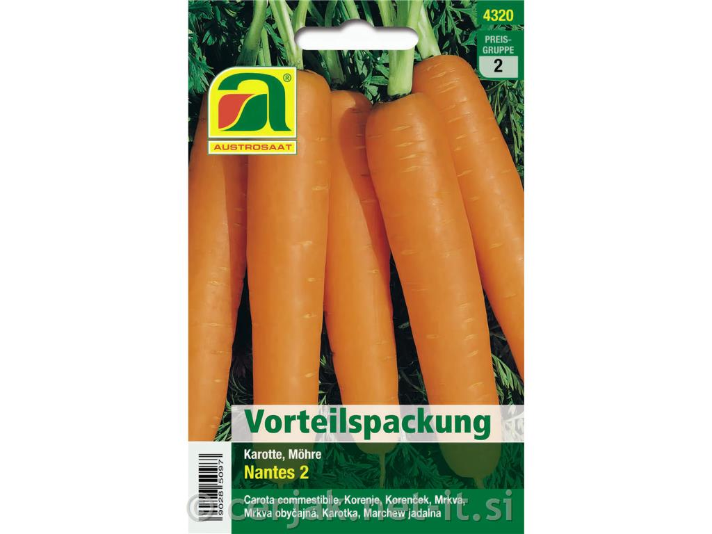 Korenček Nantes 2, 12g
