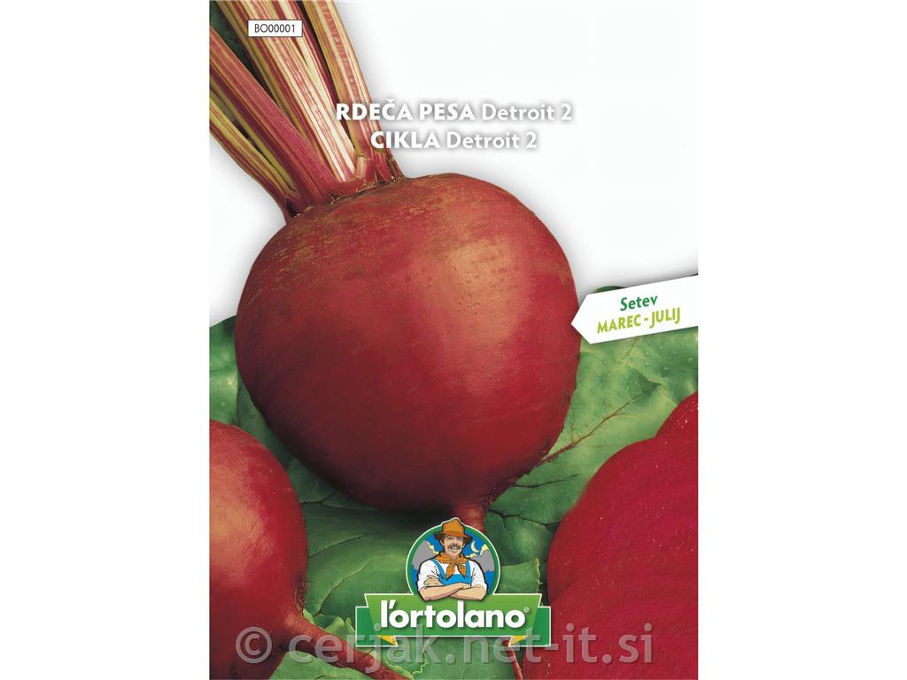 Rdeča pesa Detroit 2, 10g