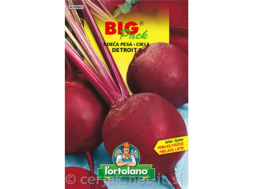 Rdeča pesa Detroit 2, 20 g