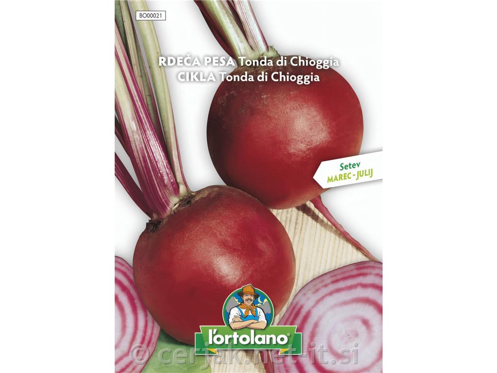 Rdeča pesa Tonda di Chioggia 10g