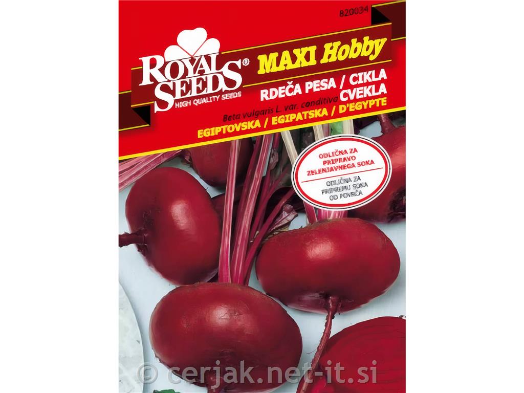 Rdeča pesa Egiptovska 11g