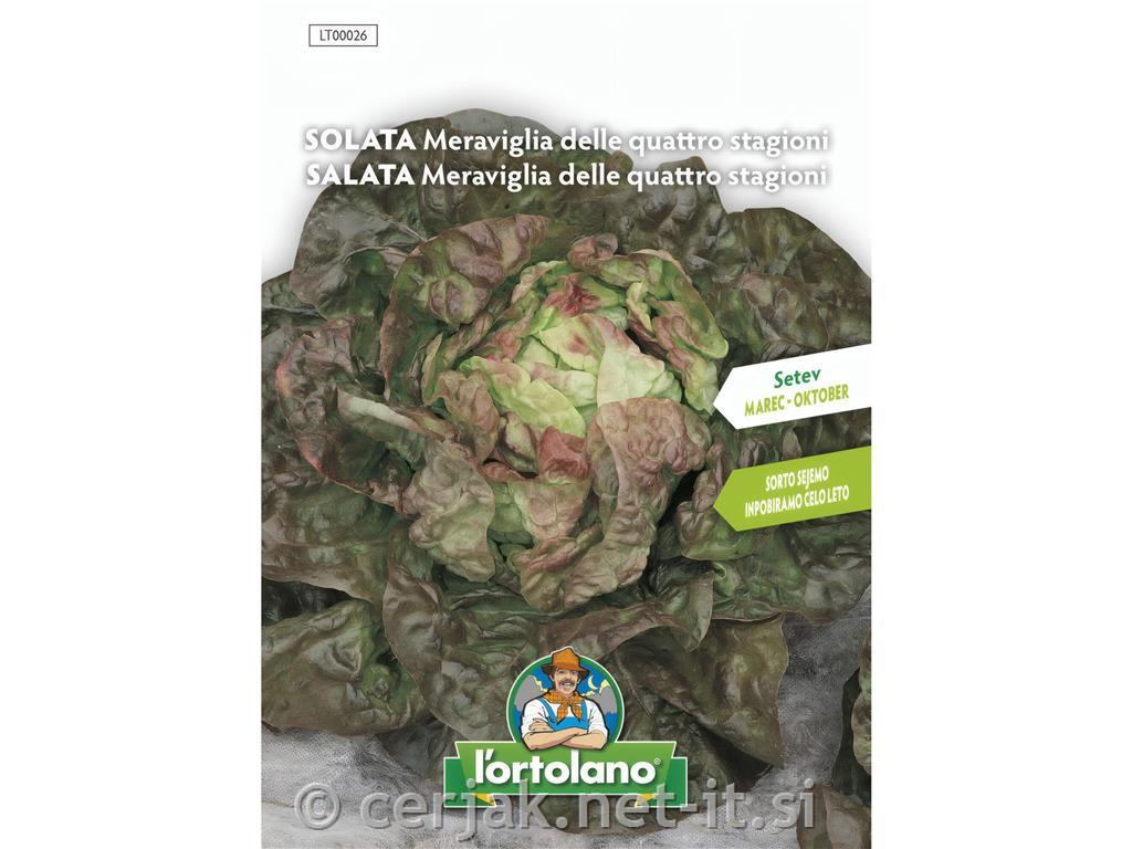 Solata, štirje letni časi, 8 g