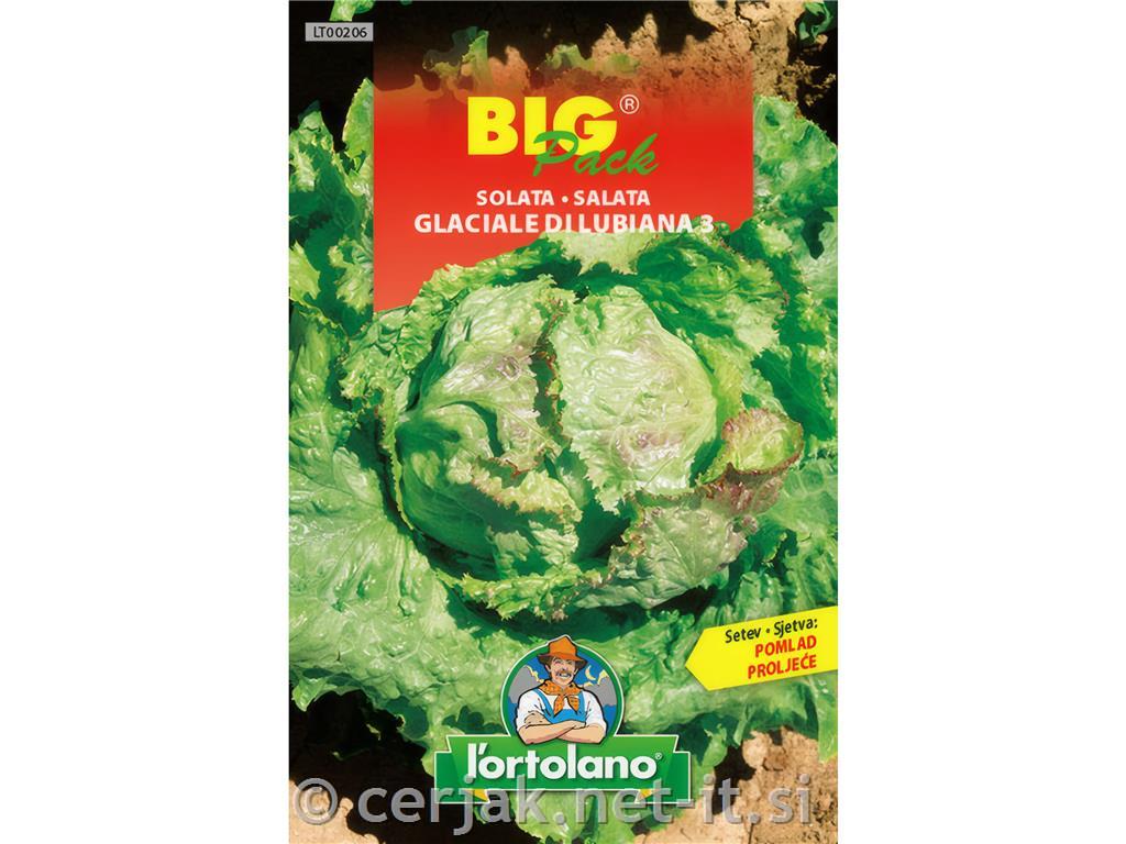 Solata Ljubljanska ledenka 15g