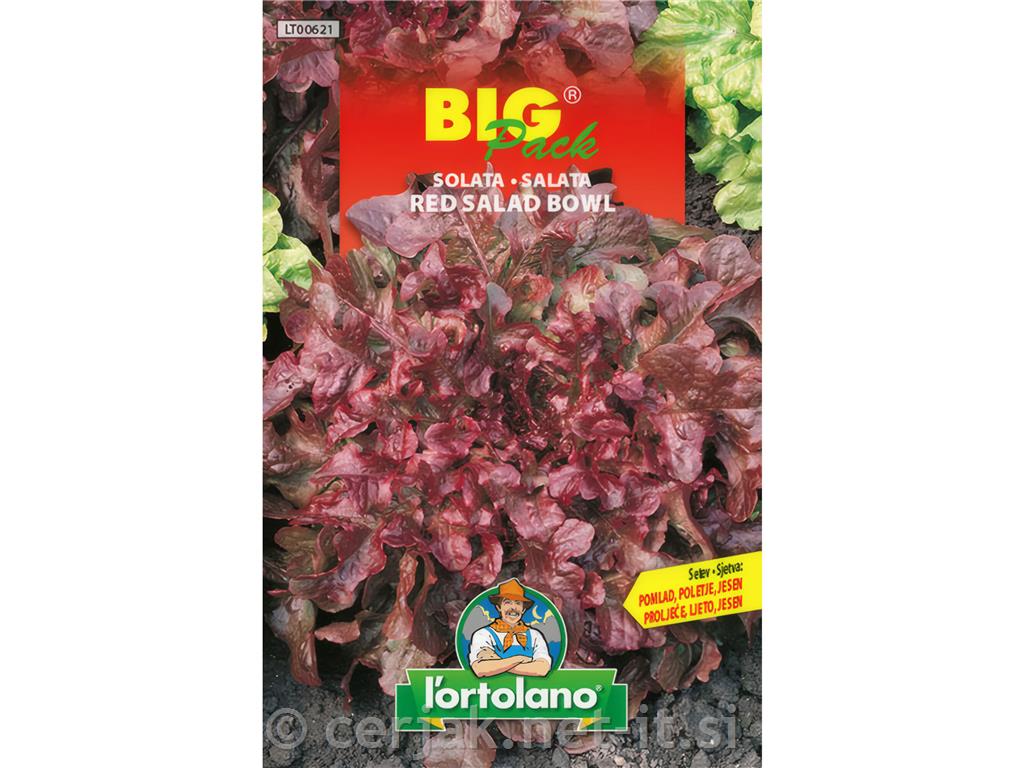 Solata Red Salad bowl 15g