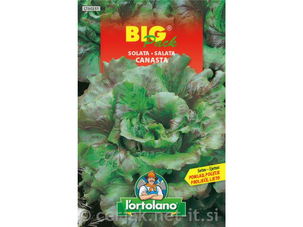 Solata Canasta 15g