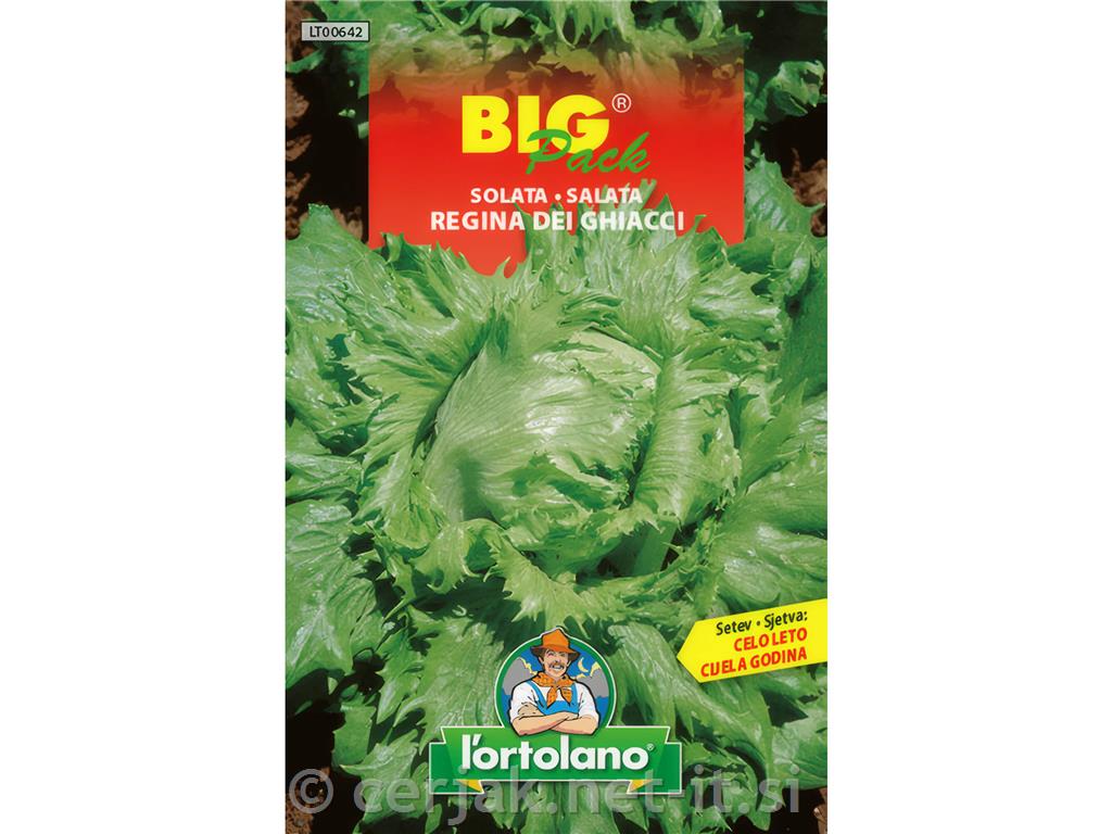 Solata Regina dei ghiacci 20g