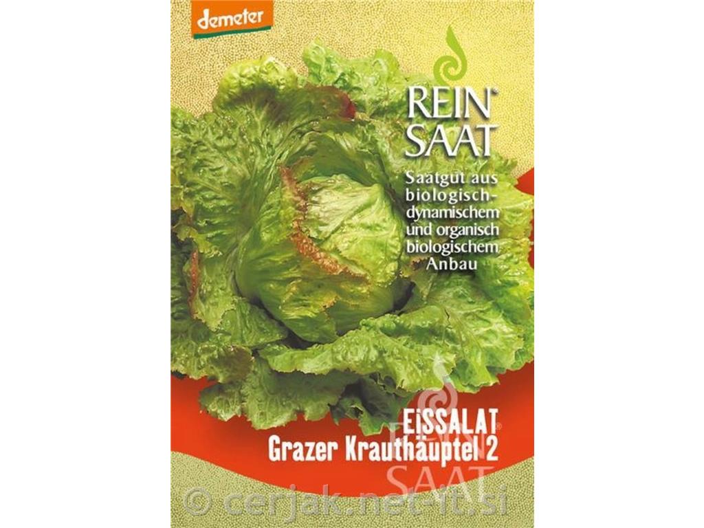 Solata Grazer Krauthäupel 2