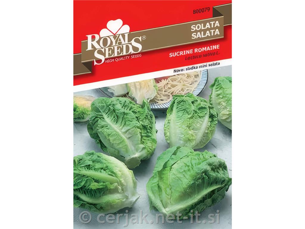 Solata Sucrine 1g