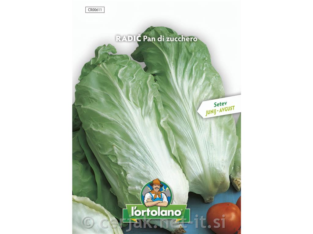 Radič Pan di zucchero, 10 g