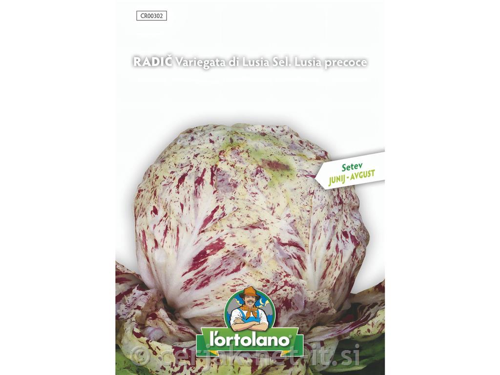Radič Variegata di Lusia 10g