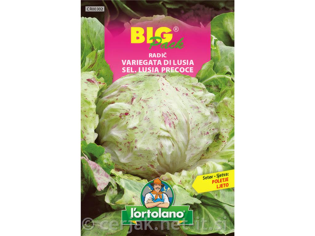Radič Variegata Di Lusia 20g