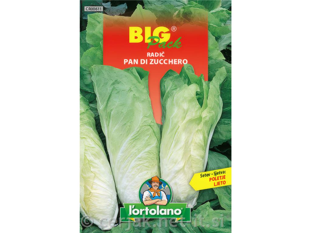 Radič Pan di zucchero 20g